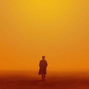 欧美午夜色情一级毛片
