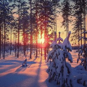 欧美午夜色情一级毛片
