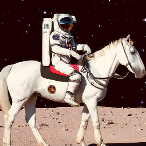 欧美午夜色情一级毛片
